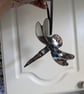 Dragon Fly 