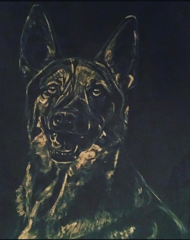 Personalised Pet Portrait - Handmade Pencil or Bleach Custom Artworks from Photo