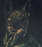 Personalised Pet Portrait - Handmade Pencil or Bleach Custom Artworks from Photo
