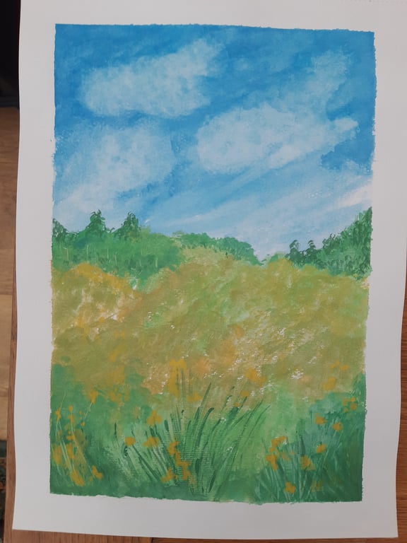 The field 