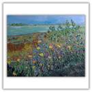 Scottish landscape - coast - wildflowers - acrylics - ready to hang