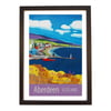 Aberdeen print black frame
