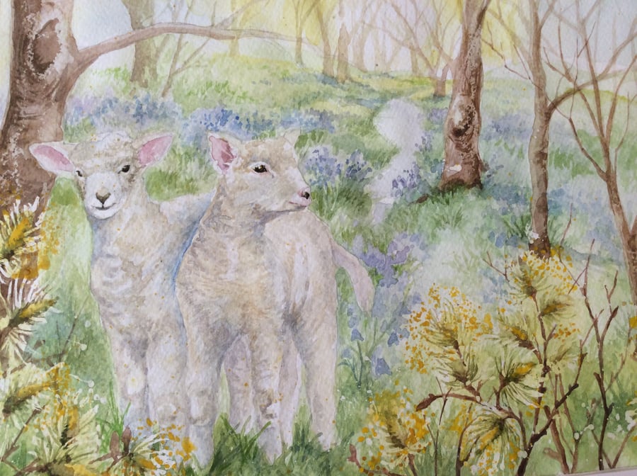 Original watercolour painting of lambs