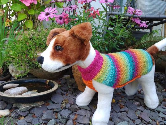 Fair-isle dog jumper - Stripes