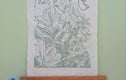 Spring & Summer Lino Prints