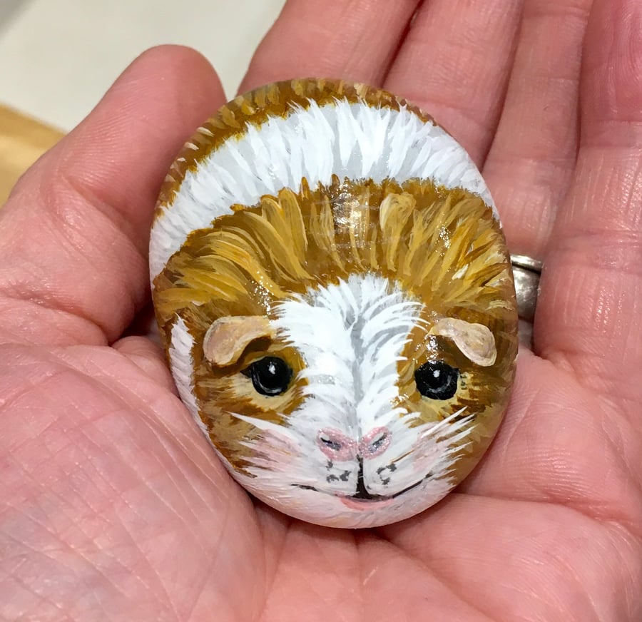 Guinea pig hand painted pebble garden rock pet Portrait 