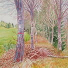Red Line, Bodenham Arboretum, Worcestershire - Original Watercolour Painting