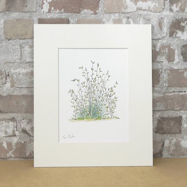 Original Art Watercolour Bug Illustration 'Rushes'