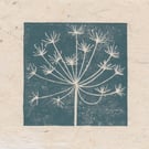 Cow parsley seed head mini linocut print