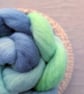 Hand Dyed Polwarth Top 98g Spinning Fibre - Seafoam