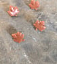 Autumn maple leaf studs  - Image 2