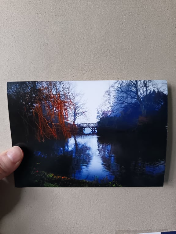 A6 Greetings Card: Birkenhead Park
