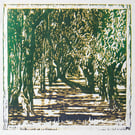 'Sidelight' hand-pressed offset woodcut original print of Holm Oak trees