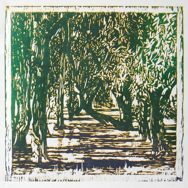 'Sidelight' hand-pressed offset woodcut original print of Holm Oak trees