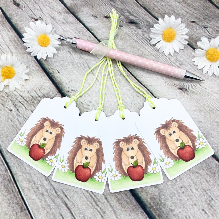 Thank You Teacher Little Hedgehog Gift Tags - set of 4 gift tags