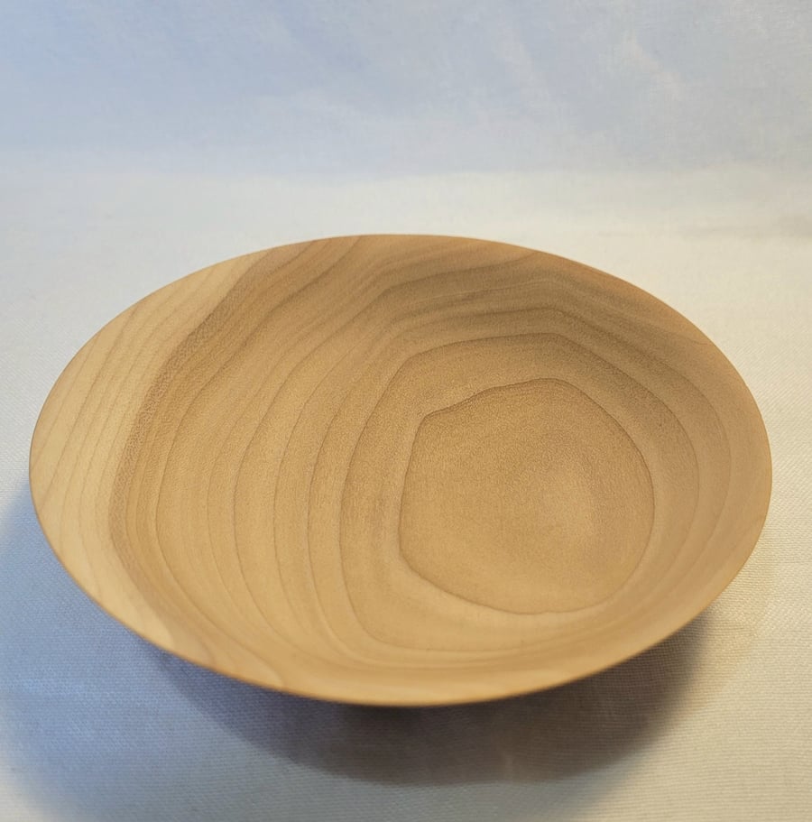 Tulipwood bowl