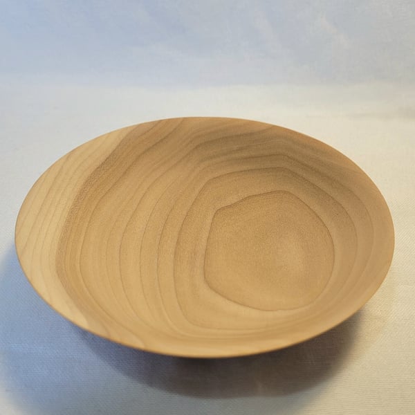 Tulipwood bowl