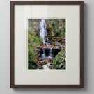 Ninesprings Waterfall Print – Yeovil Somerset Black & White or Colour Wall Art