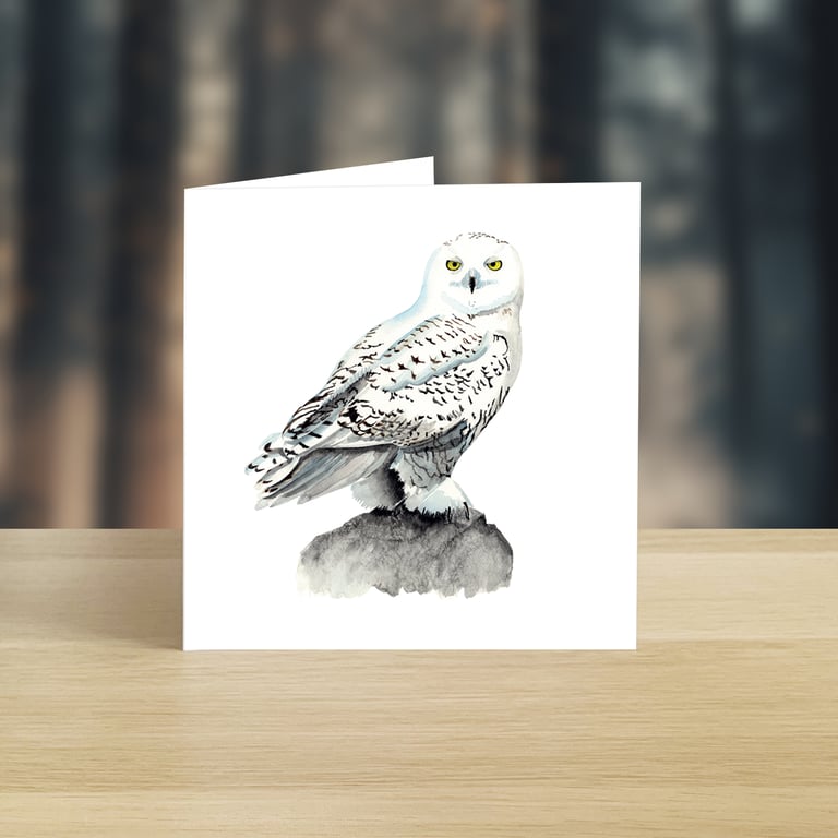 Snowy Owl greeting card (blank)
