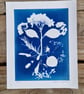 Cyanotype Botanical Print No. 7 - Image 2