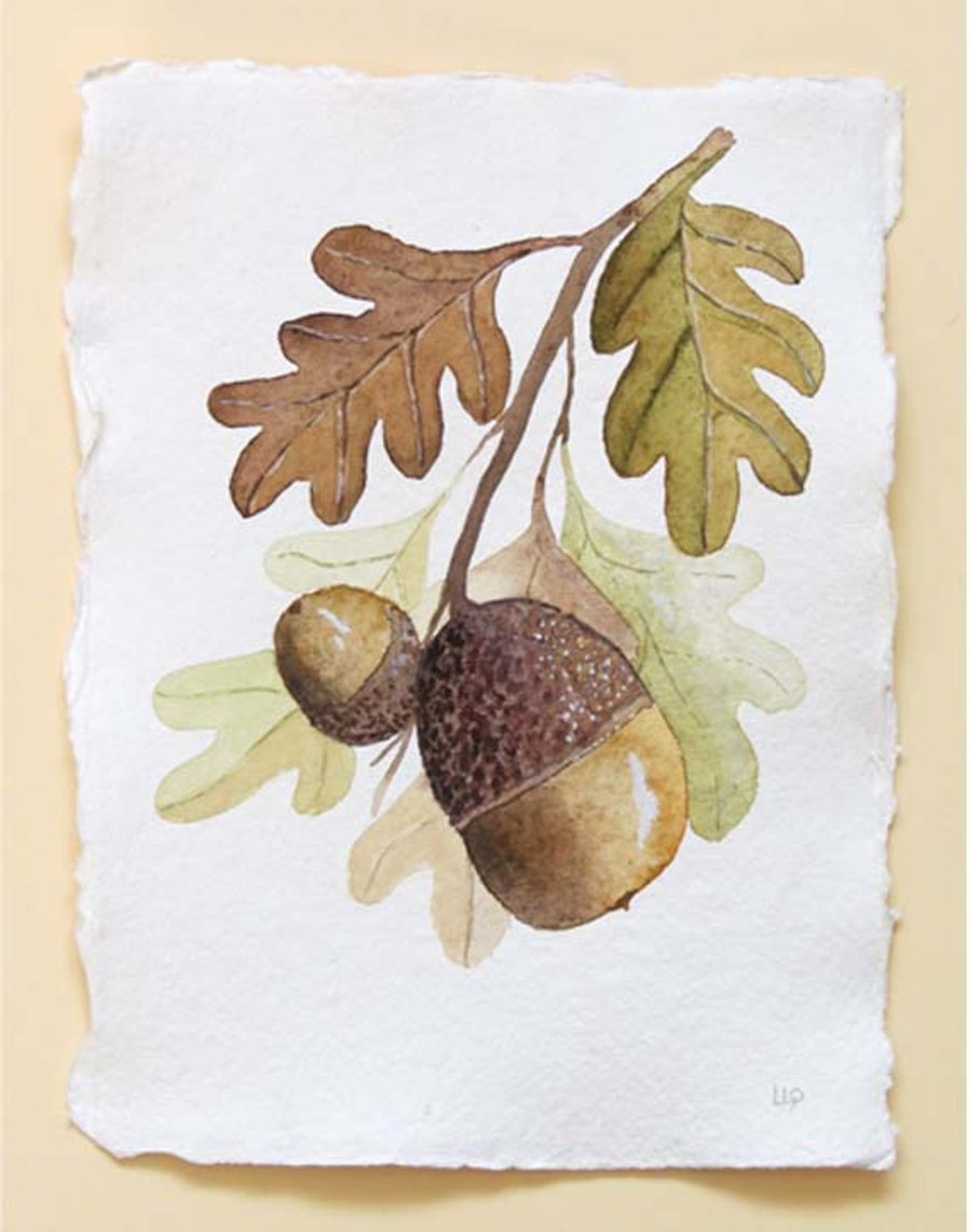 Acorns and oak leaves watercolour study painting illustration