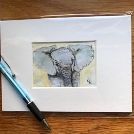 'Errol Elephant' Mounted print of miniature watercolour - FREE UK POST
