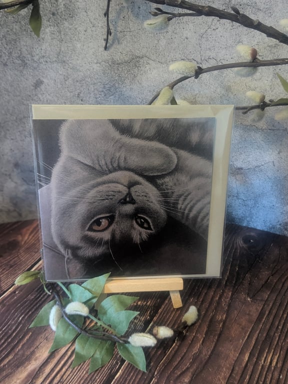 'Miss Purrrfection' Blank Greetings Card 