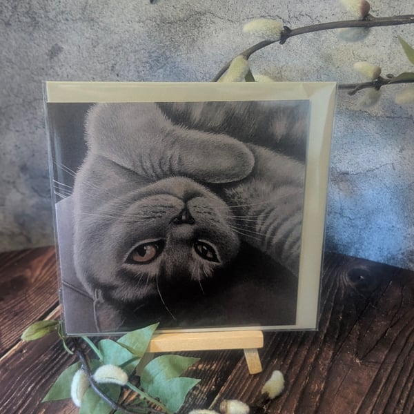 'Miss Purrrfection' Blank Greetings Card 