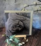 'Miss Purrrfection' Blank Greetings Card  - Image 1