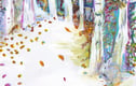 Fine Art Prints