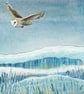 An Evening Flight - Signed Limited Edition Giclee Print - Image 6