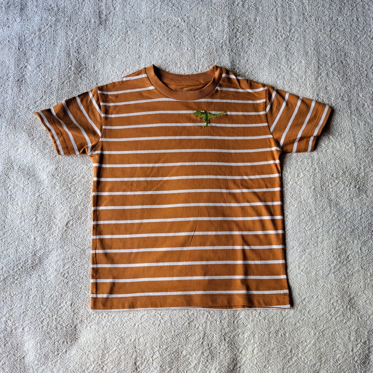 Dinosaur, T-rex, T-shirt, striped, age 4-5 years, hand embroidered