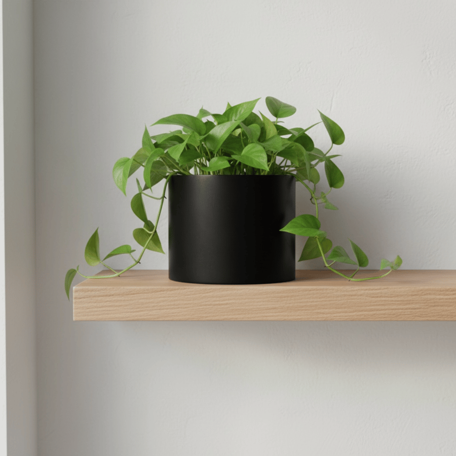 15 cm Round Black Satin Finish Plant Pot Indoor Houseplant Planter