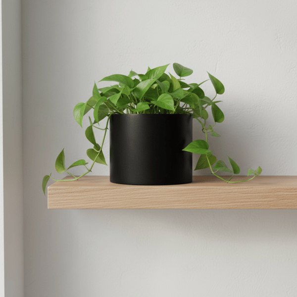 15 cm Round Black Satin Finish Plant Pot Indoor Houseplant Planter
