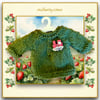 Forrest Green Jumper