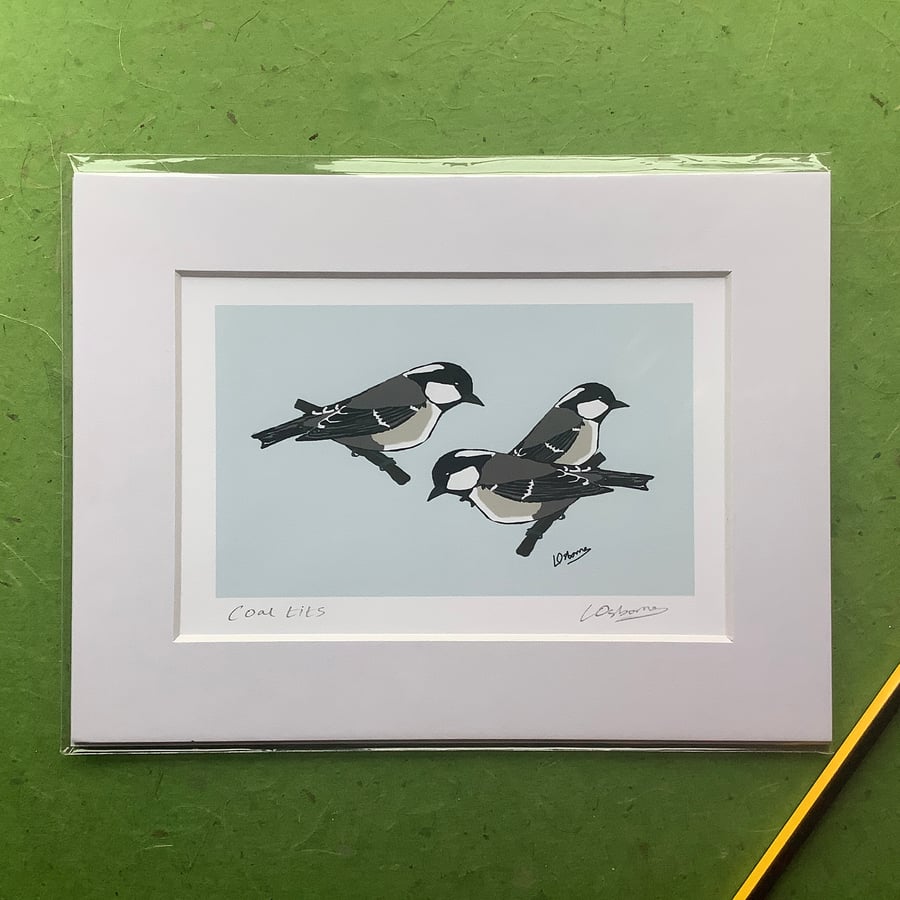 Coal tits - digital illustration with mount of garden birds