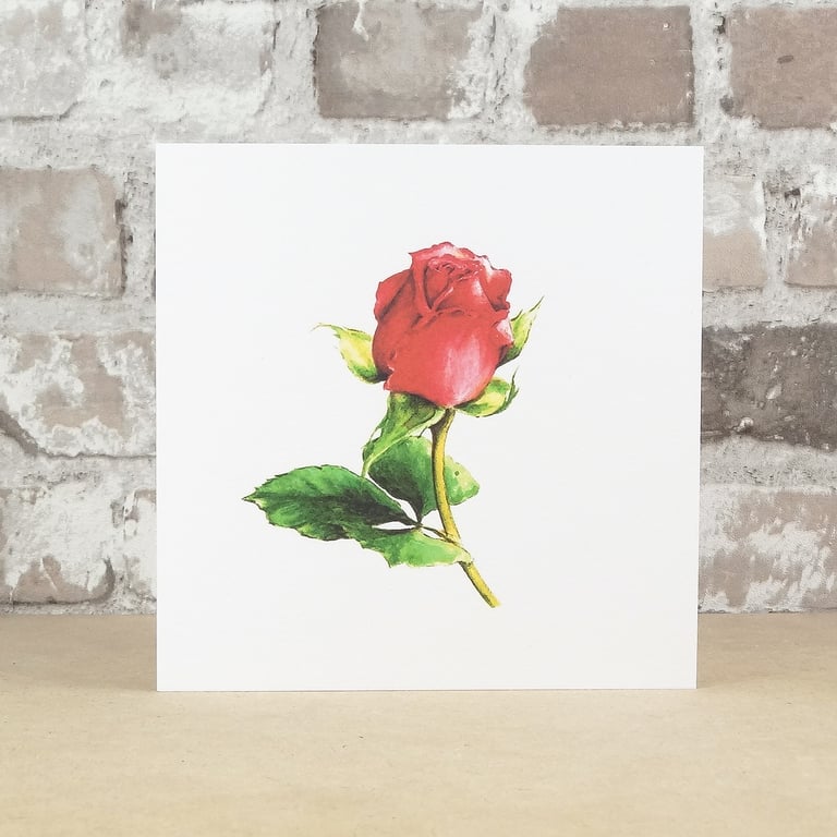 Valentine's Card Red Rose