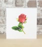 Valentine's Card Red Rose