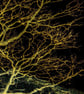 OriginalPrint 'Root and Rock 5'. (A2 size) - Image 2