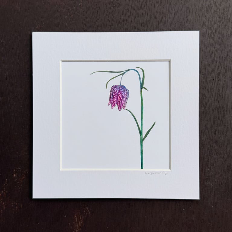 'Fritillary' 8" x 8" Mounted Print