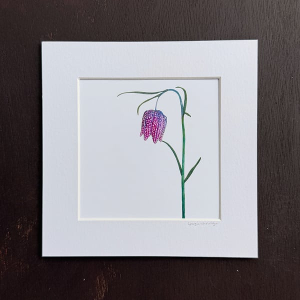 'Fritillary' 8" x 8" Mounted Print