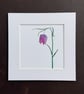 'Fritillary' 8" x 8" Mounted Print