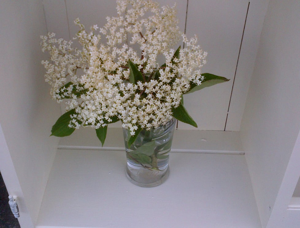 Alchemy Vintage Furniture 