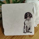 Springer Spaniel Dog Rustic Marble Coasters, Drinks Coasters, Set Of 4