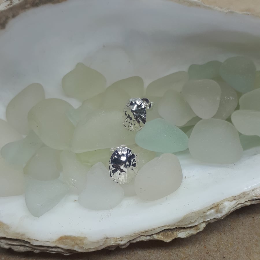 Fine silver limpet shell studs