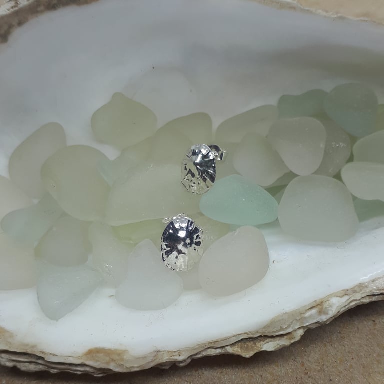 Fine silver limpet shell studs