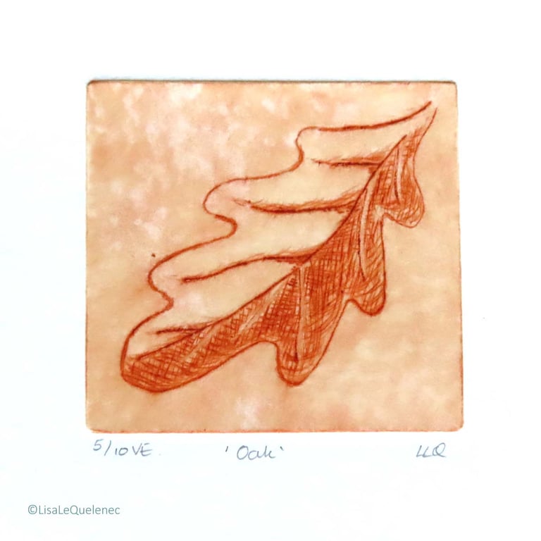 Oak drypoint no.5 of 10 forest floor shades of autumn small scale print