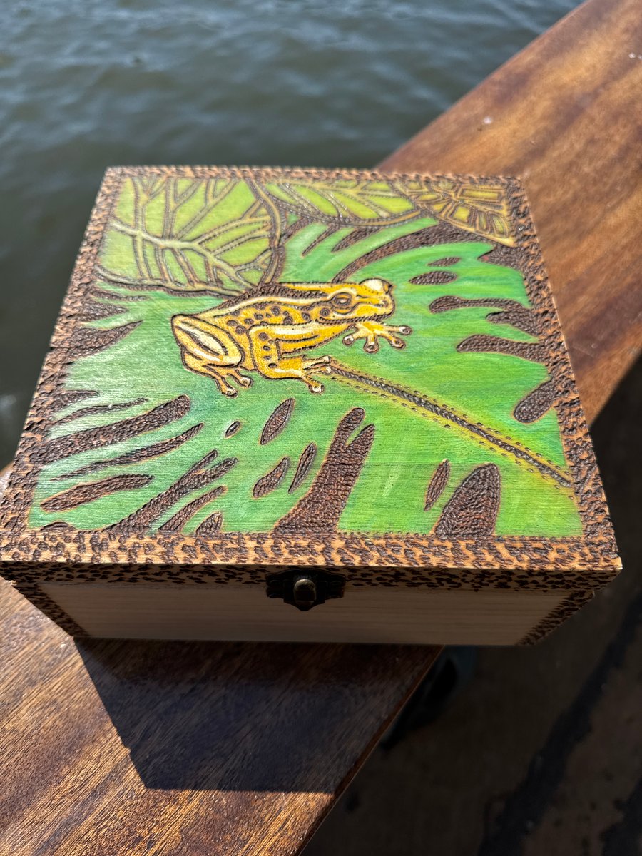 Poison Dart Frog box, can be personalised inside lid. Wooden keepsake box, gift 