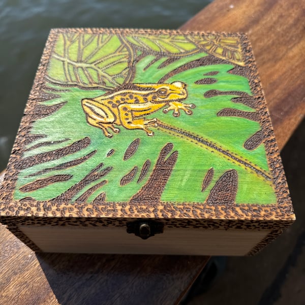 Poison Dart Frog box, can be personalised inside lid. Wooden keepsake box, gift 