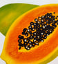Papaya Fruit Art Print - Image 8